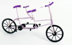 Miniature Bicycle Tandem